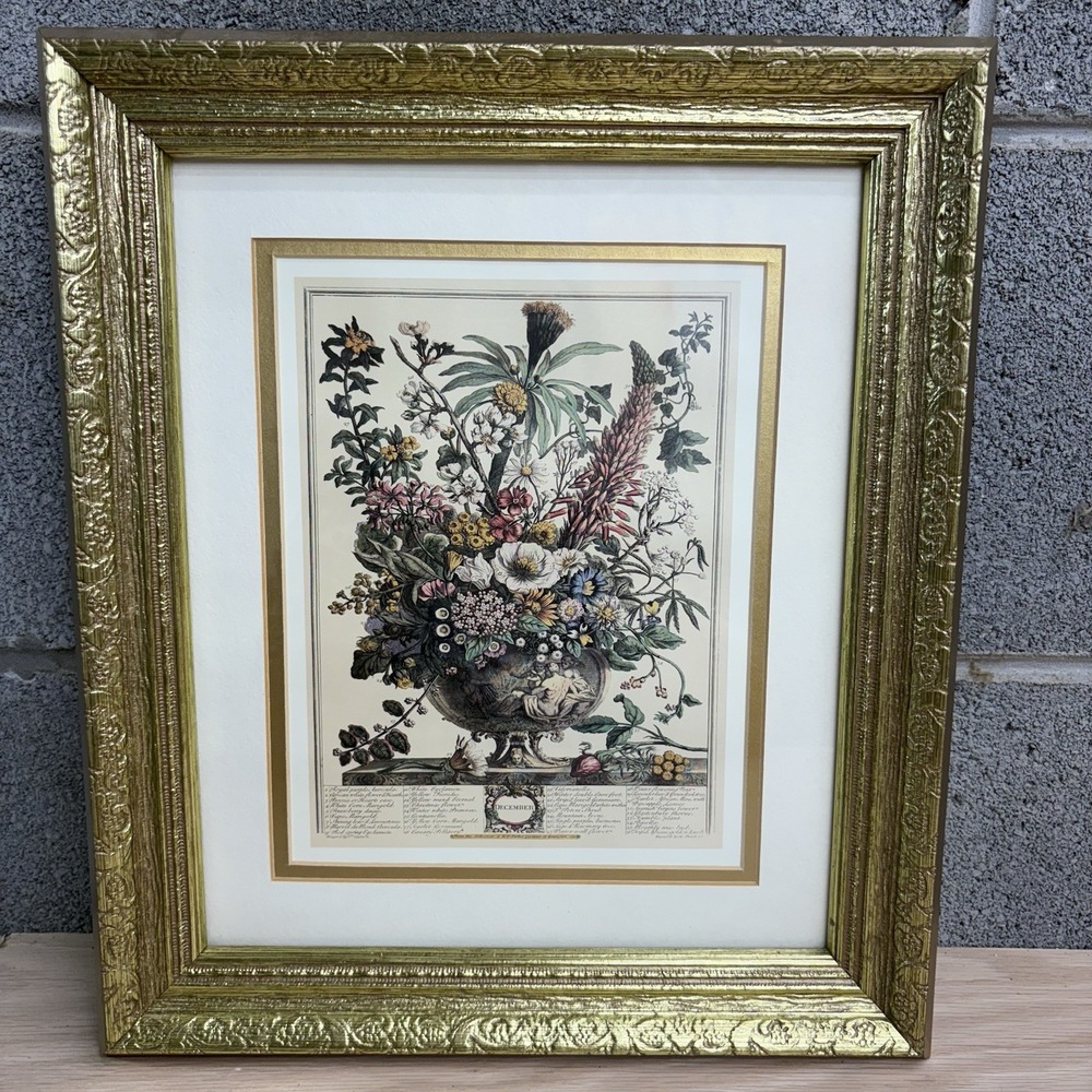 Vintage Robert Furber Twelve Months of Flowers Print December Framed 12x14"